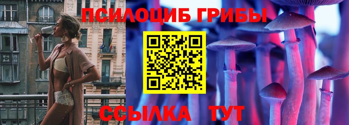 Галлюциногенные грибы прущие грибы  Вход с VPN  Чебоксары  магазин  наркотиков  Псилоцибиновые грибы Cubensis 